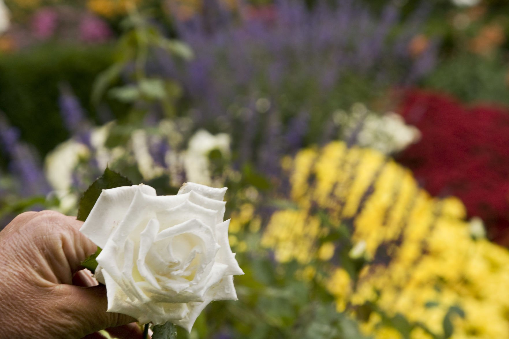 Garden Tour